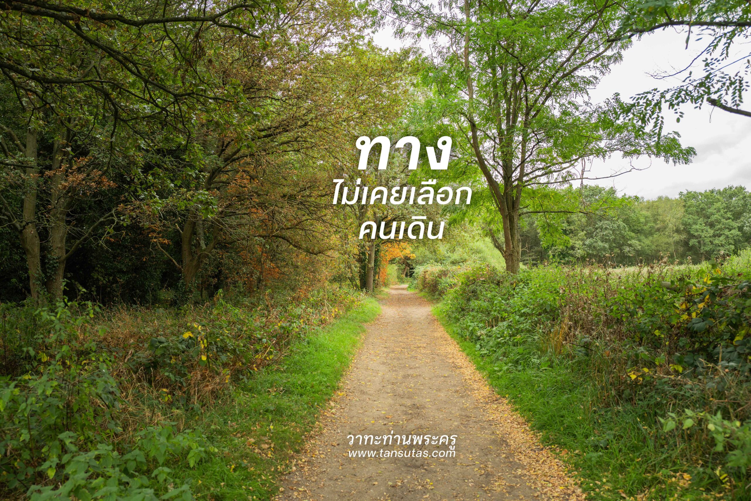 ทางไม่เคย